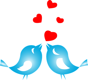 Lovebirds Hearts Illustration PNG