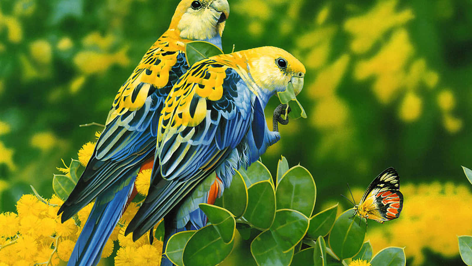 Cute Lovebirds On Leaves Picture
