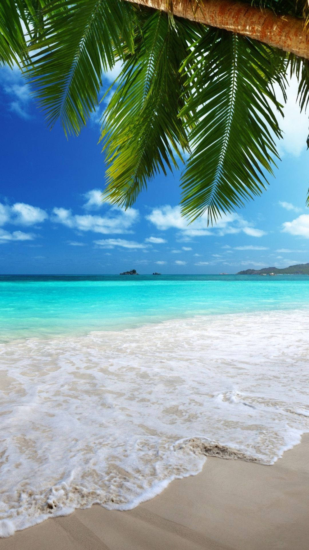 Puesta de sol tropical y palmeras en la playa del mar 4K descarga de fondo  de pantalla