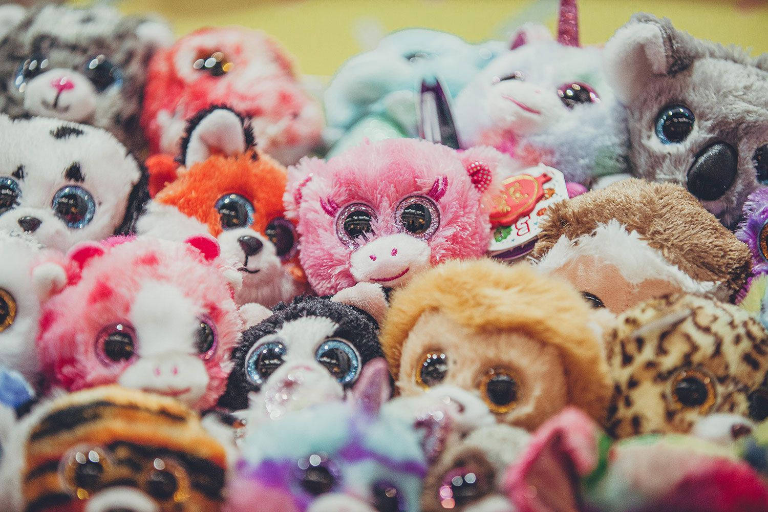Charming Collection of Beanie Boos Relishing in playtime Wallpaper