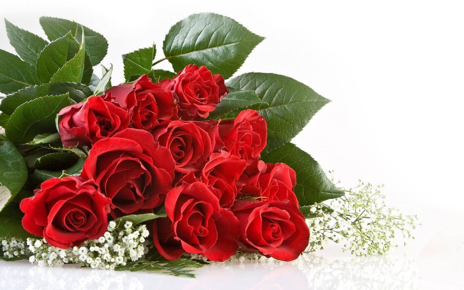 Schönerstrauß Roter Rosenblumen. Wallpaper