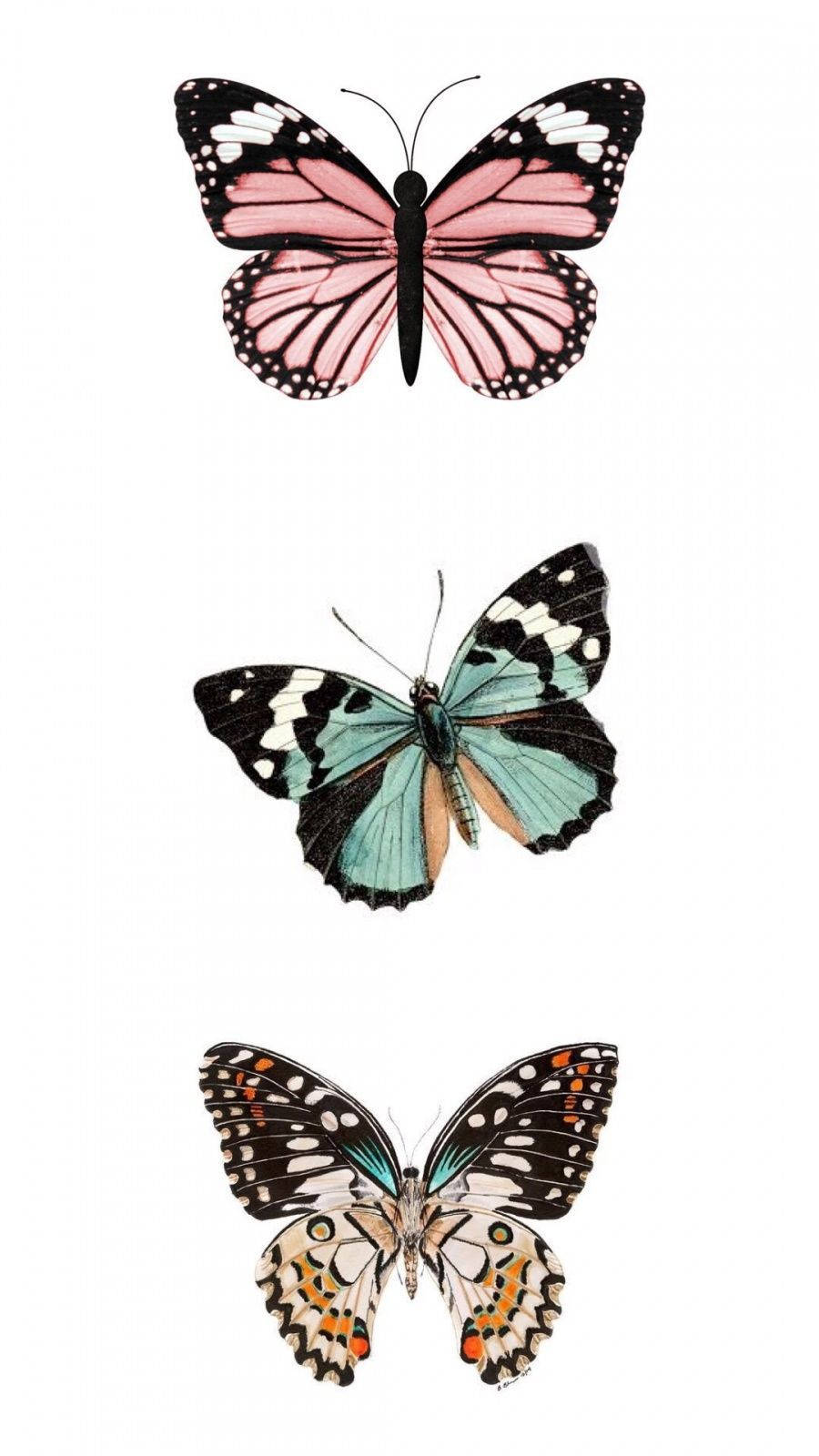 Lovely Butterfly Aesthetic Wallpaper