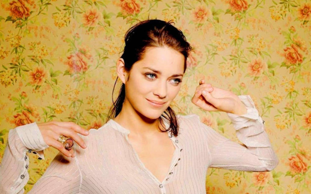 Lovely French Actress Marion Cotillard Wallpaper