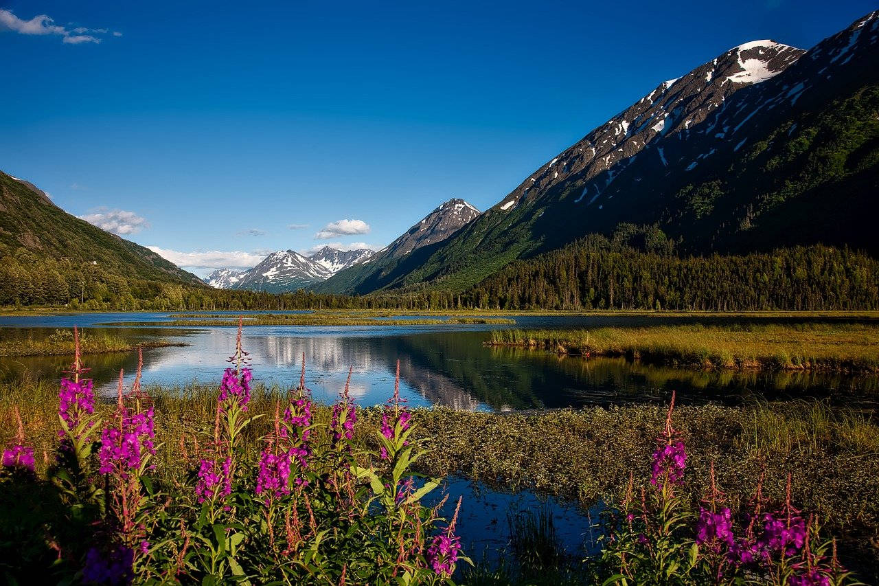 Lovely Landscape Of Anchorage Wallpaper