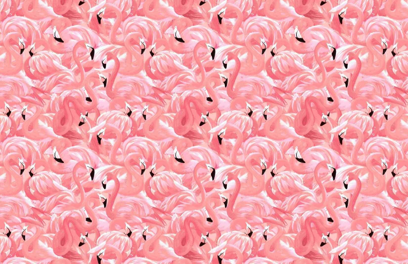 Lovely Pink Flamingo Birds Wallpaper
