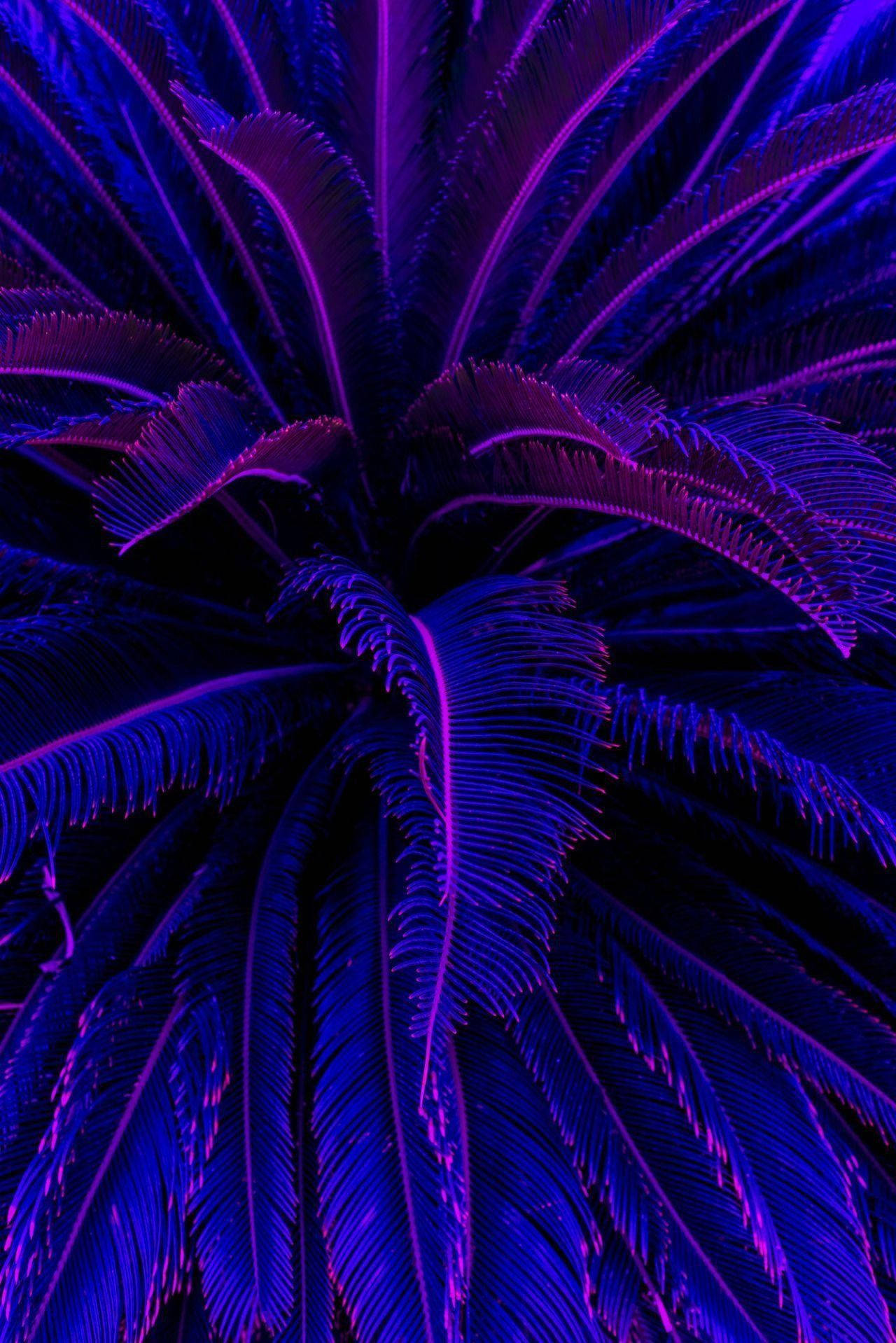 Lovely Purple Aesthetic Iphone Lockscreen Background