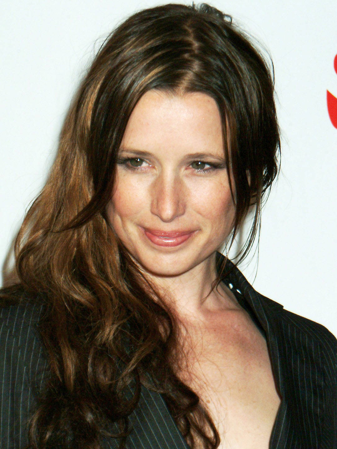 Lovely Shawnee Smith Picture