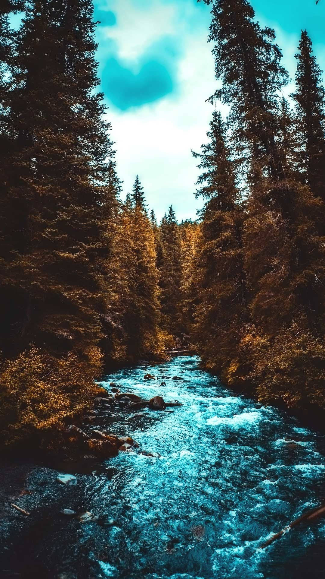 Lovely Stream And Autumn Forest Iphone Wallpaper