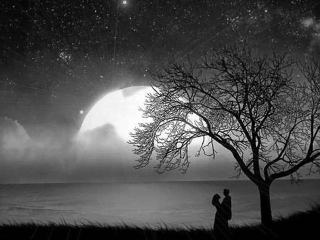 A Couple Standing Under A Tree Under The Moon