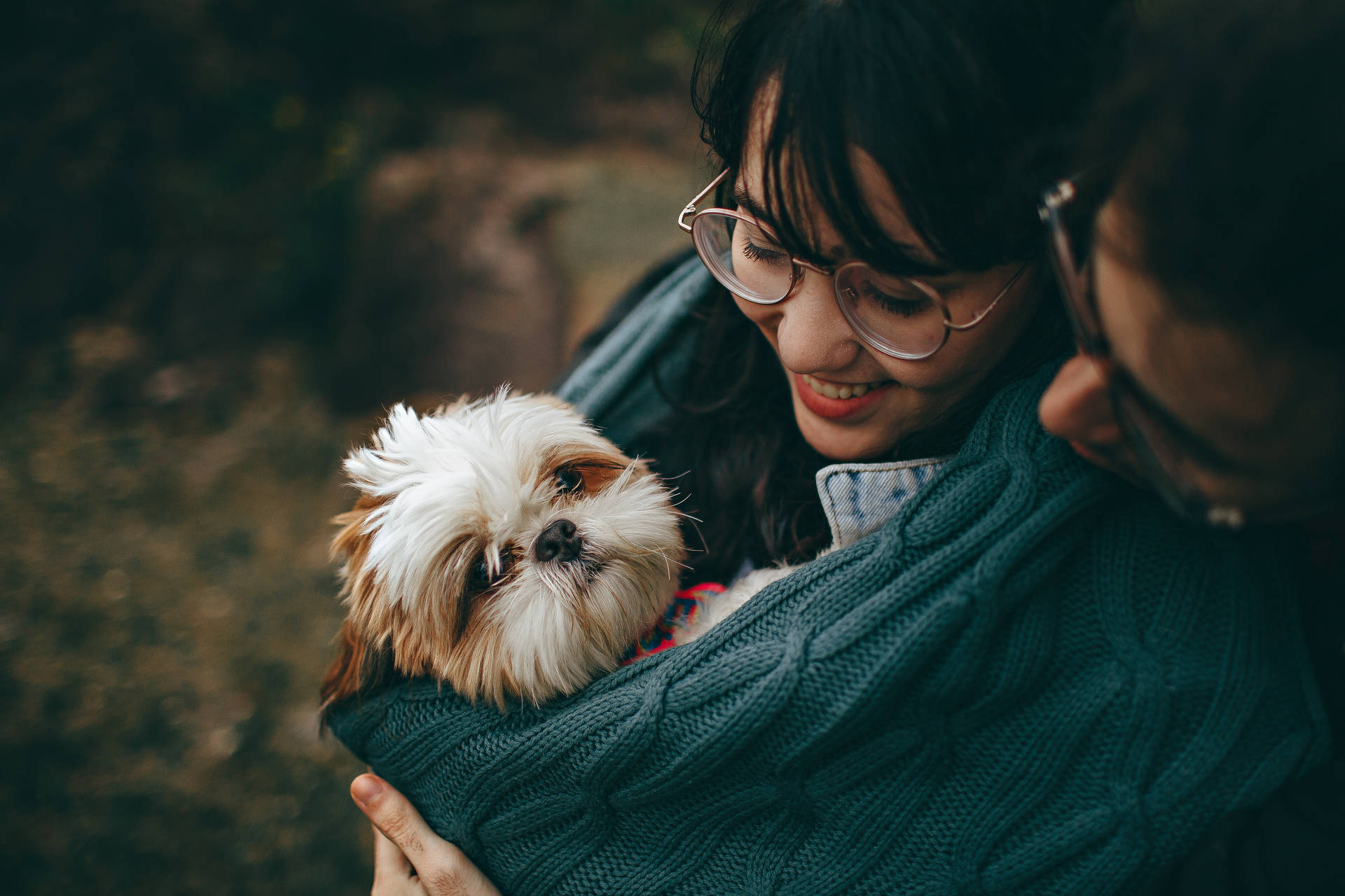 Lovers With Shih Tzu Background