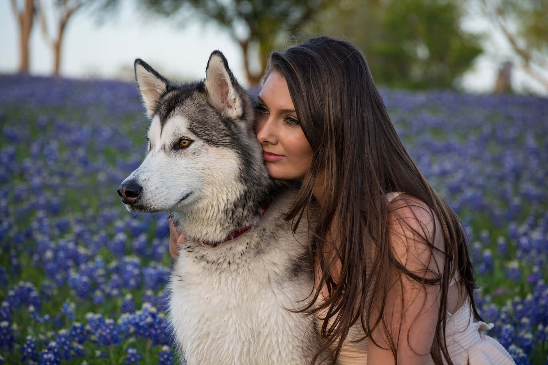 Loving Moment Between Woman And Dog Wallpaper