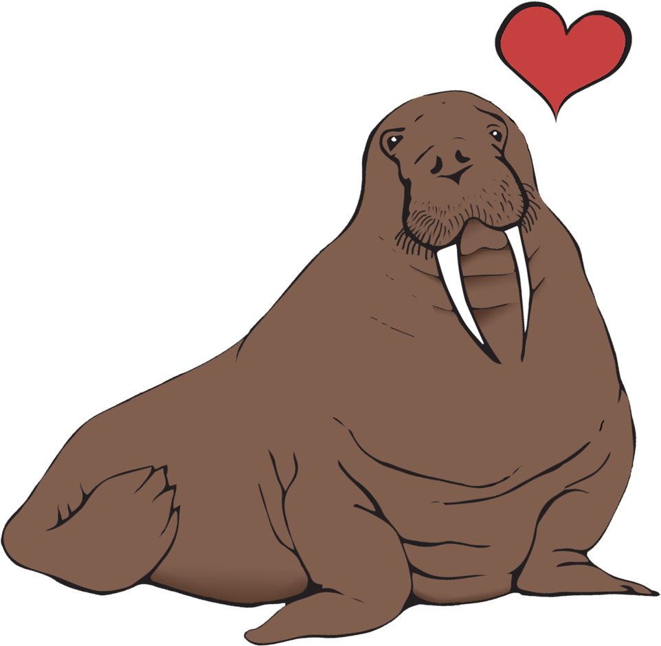 Loving Walrus Cartoon PNG