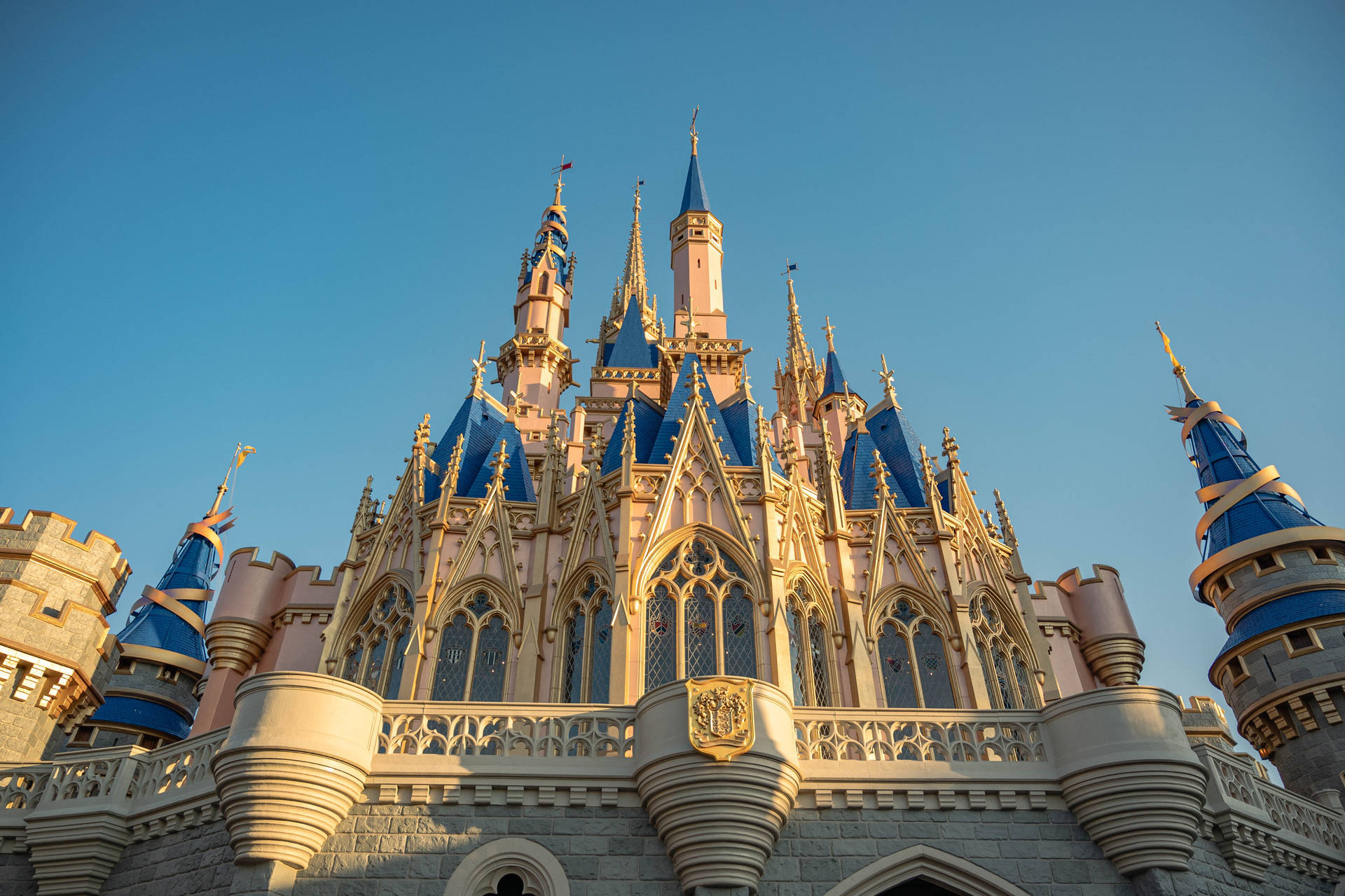 Low-angle Castle Walt Disney World Desktop Background