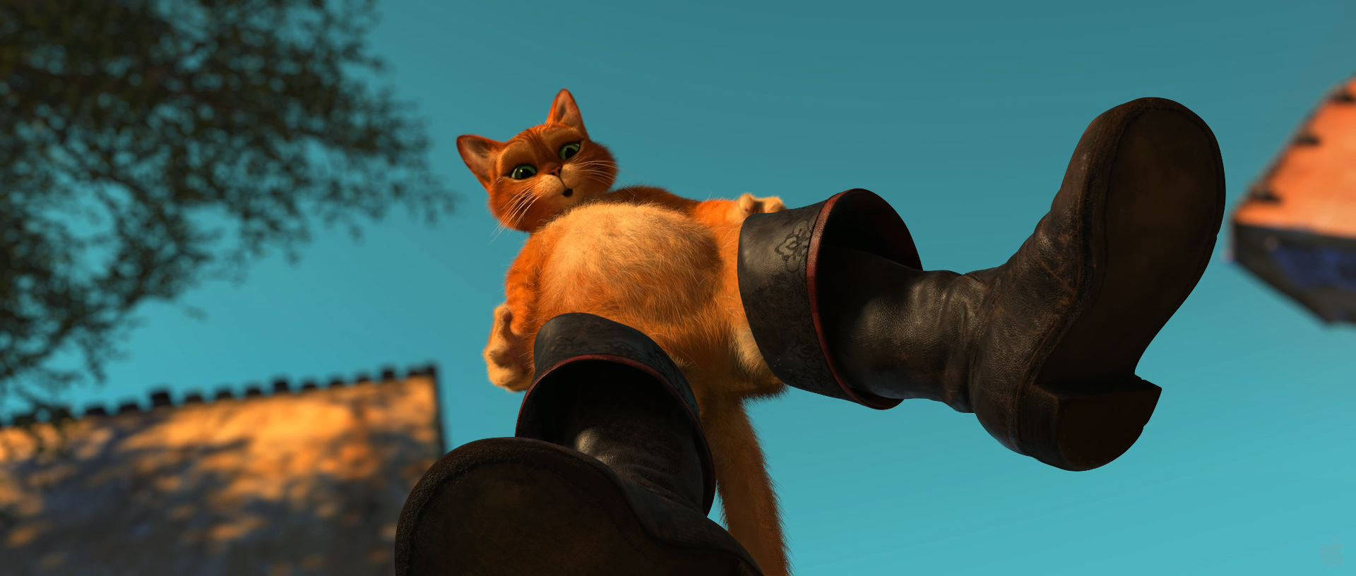 Low Angle Puss In Boots Wallpaper