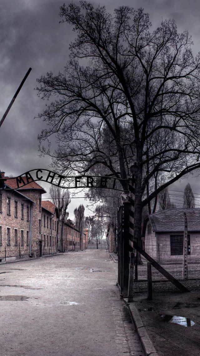 Low Contrast Auschwitz Concentration Camp Gate Picture