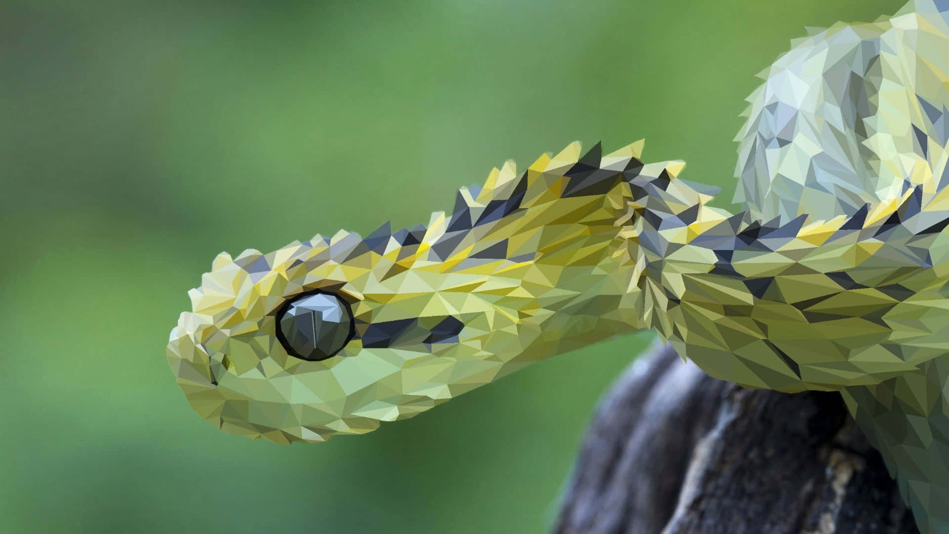 A Snake With A Yellow Head And Green Body