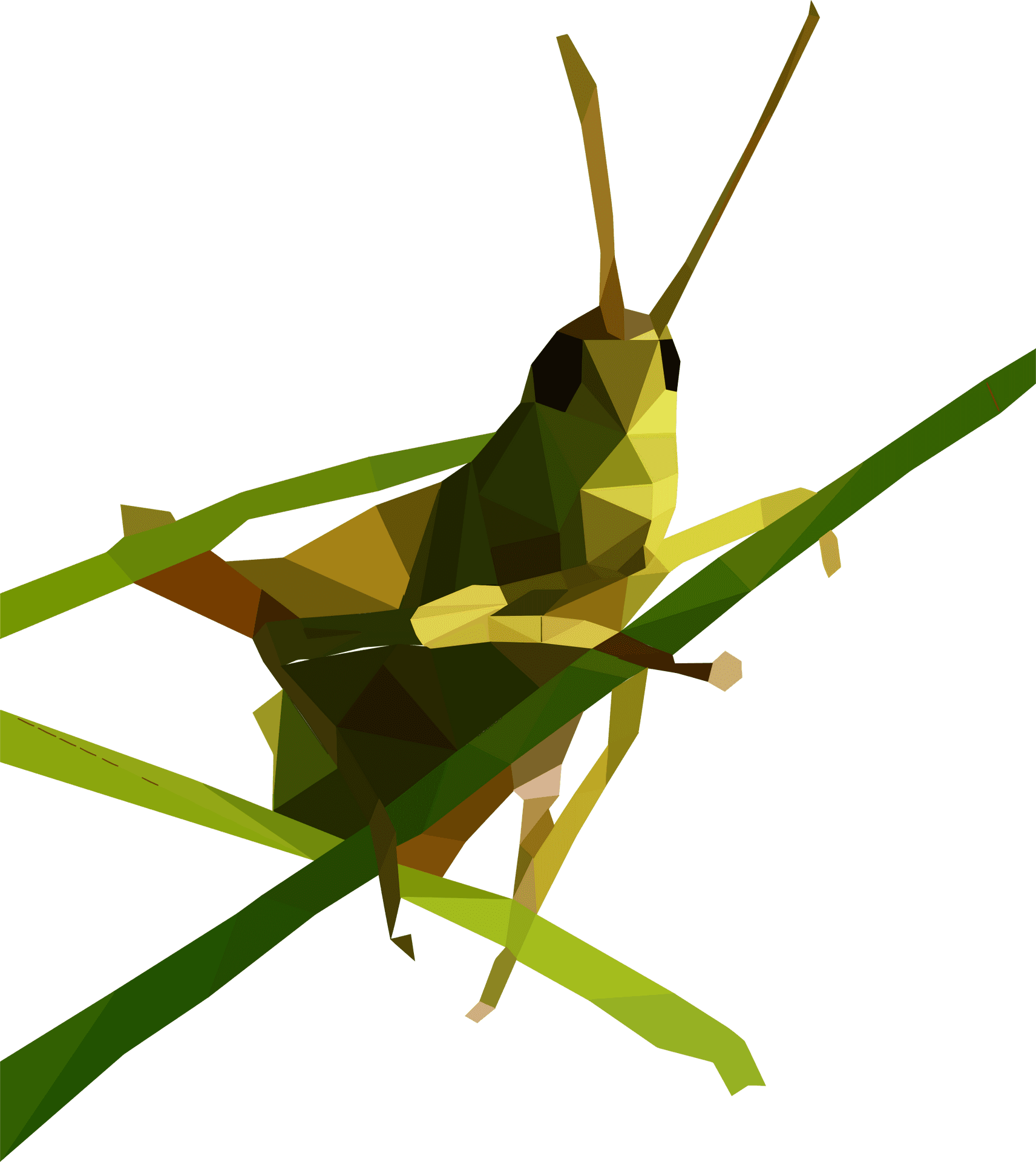 Low Poly Grasshopper Illustration PNG