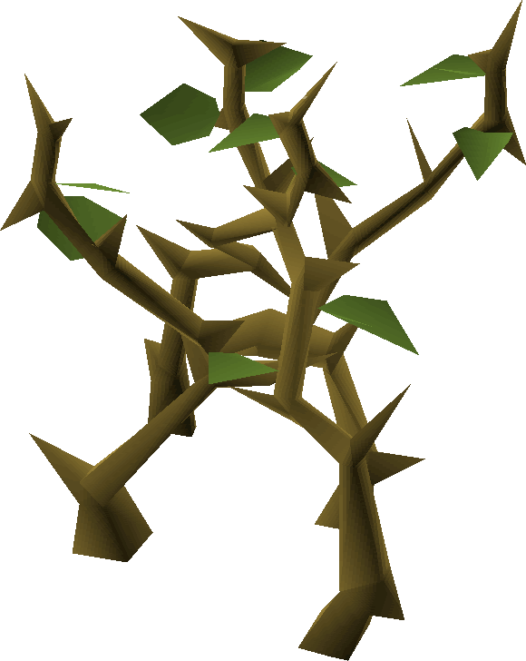 Low Poly Jungle Tree PNG