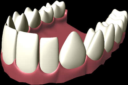 Lower Jaw Teeth3 D Model PNG
