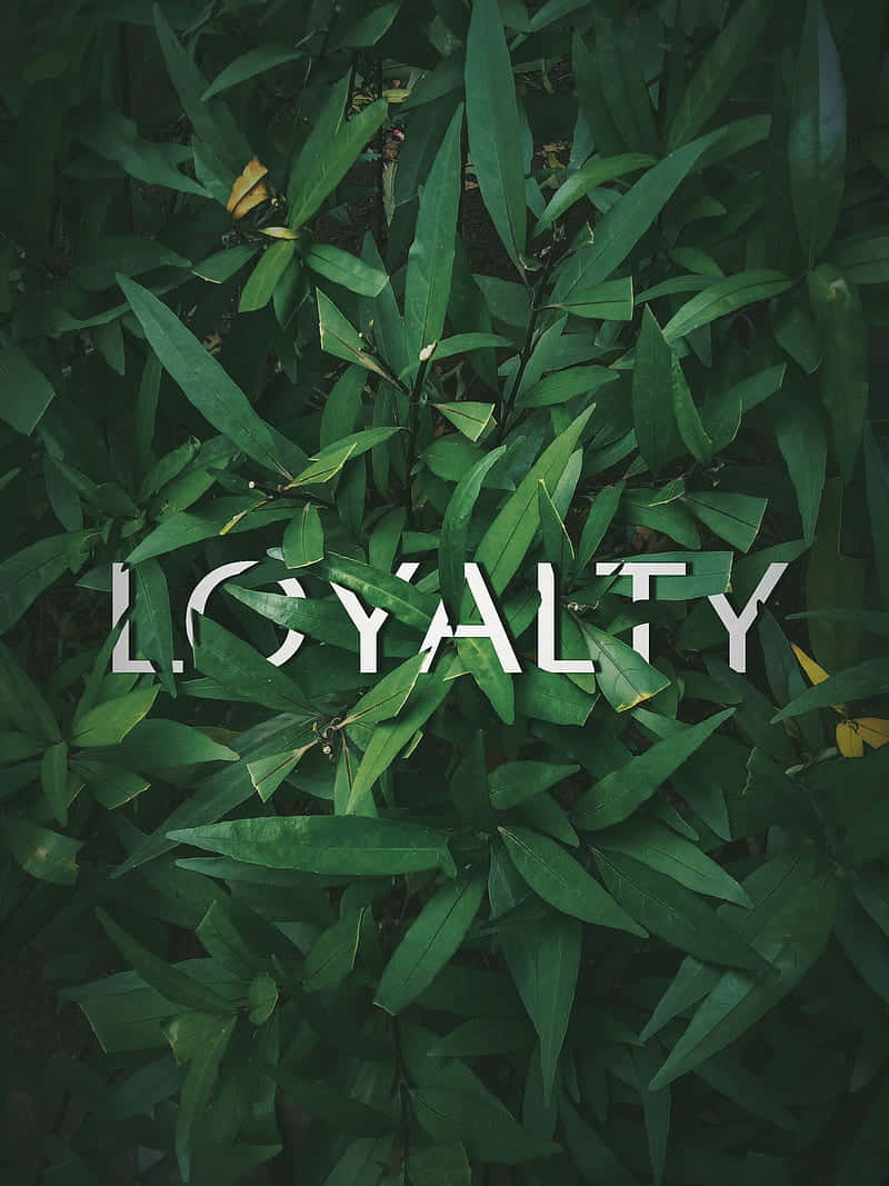 Loyal Buried On The Grasses Wallpaper
