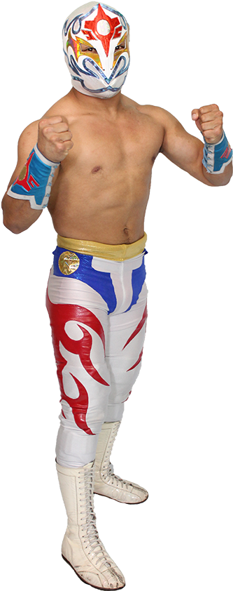 Luchadorin Action Pose PNG