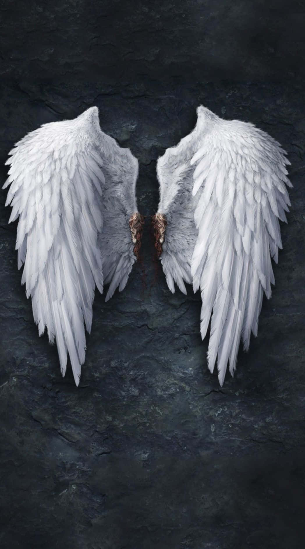 Black and White Angel Wings Devil Wings Lucifer White & 