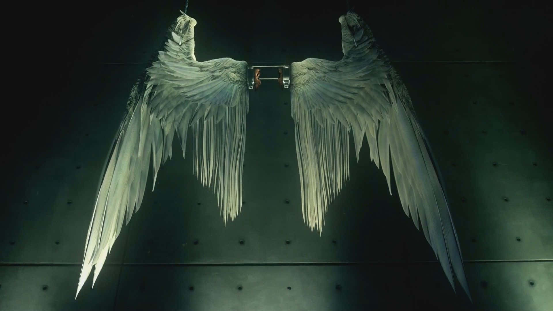 Spread your wings and defy gravity with Lucifer Wings. Wallpaper