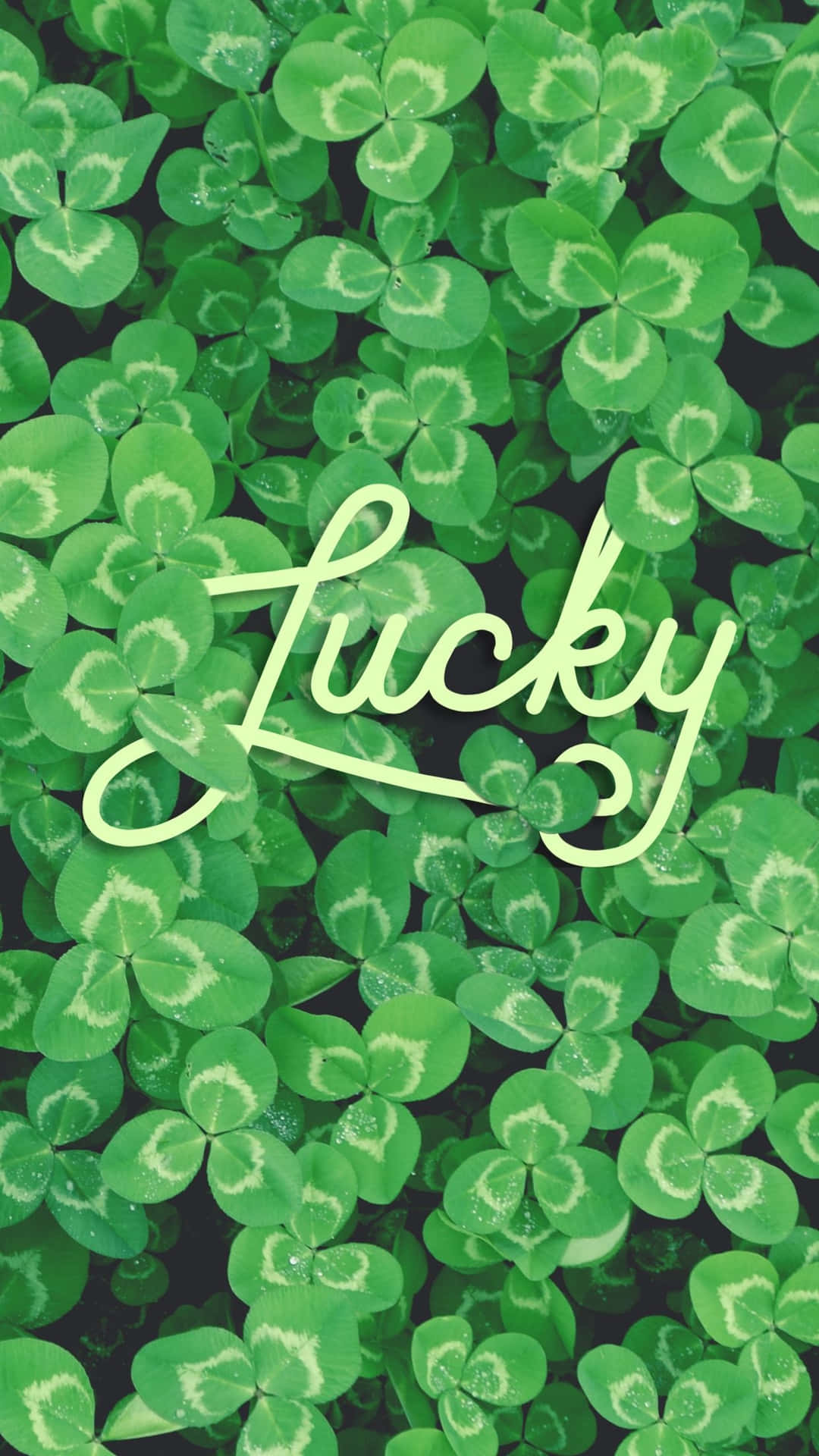 Lucky Clover Backdrop St Patricks Day Wallpaper