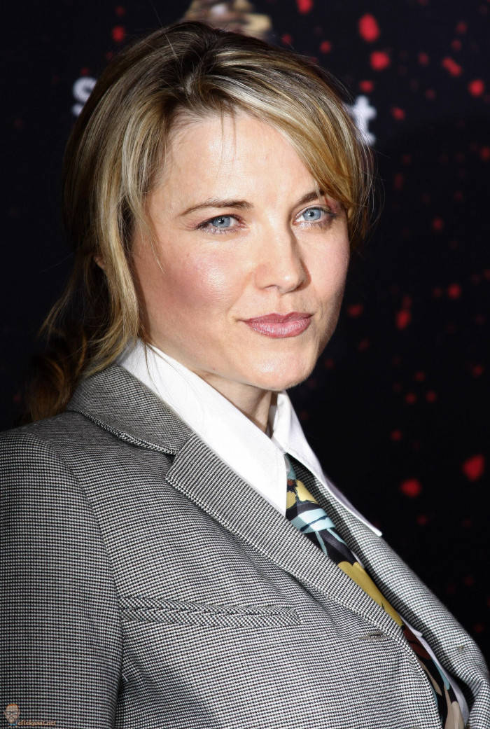 Lucy Lawless Charming Gray Suit Wallpaper