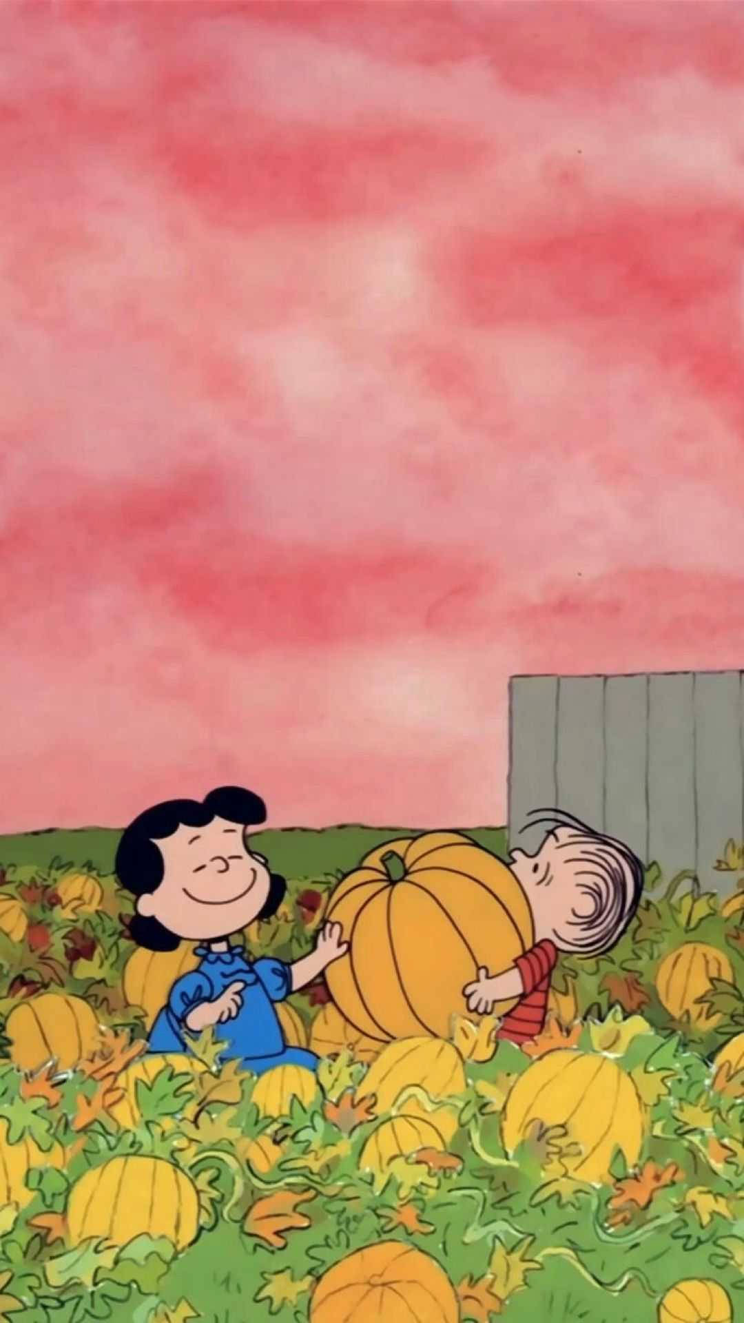 Lucyvan Pelt Em Uma Abóbora De Charlie Brown. Papel de Parede