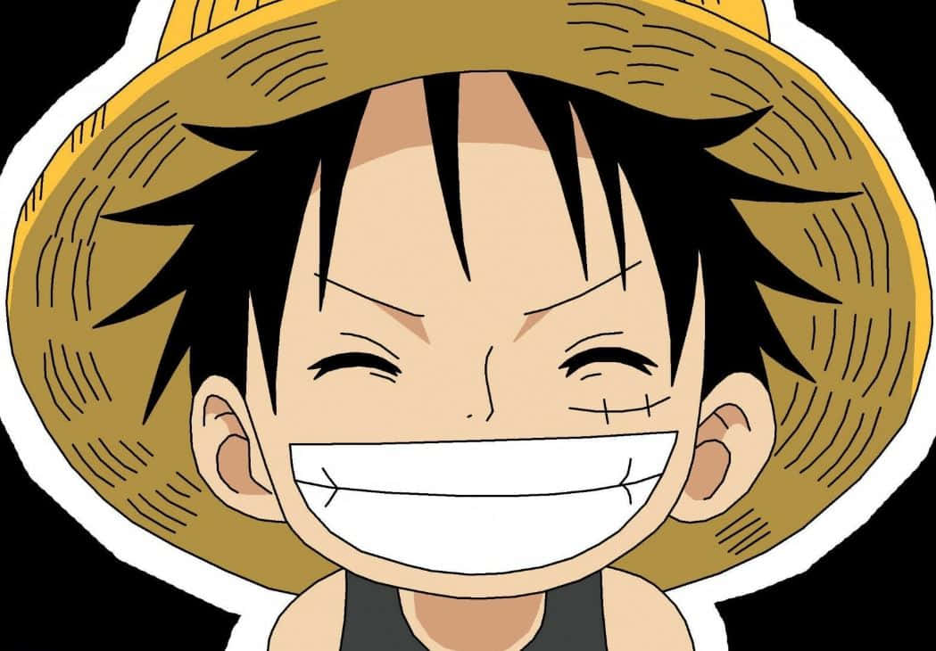 Monkey D. Luffy, ready for the adventure!