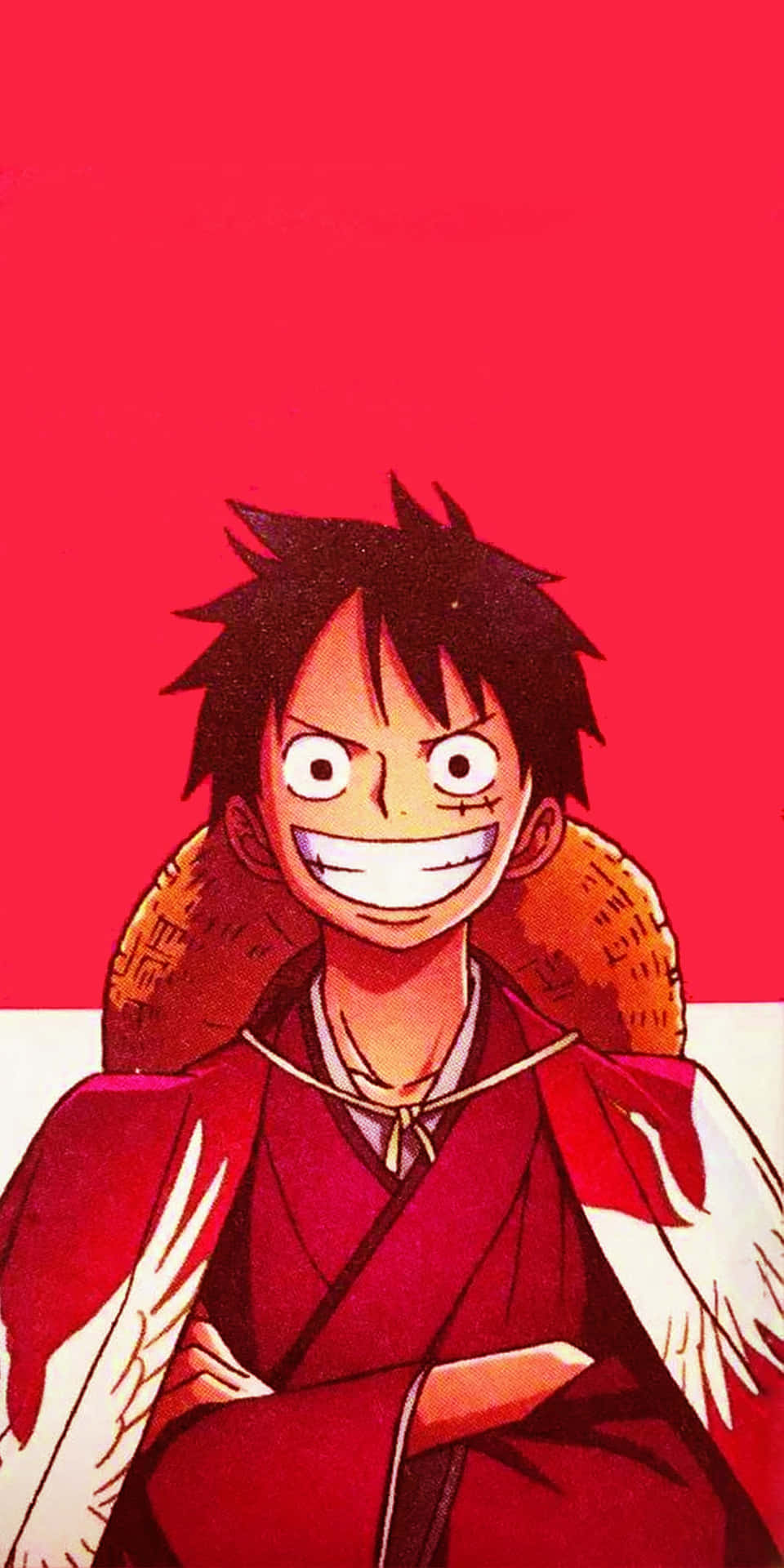 Luffy, the swashbuckling pirate!