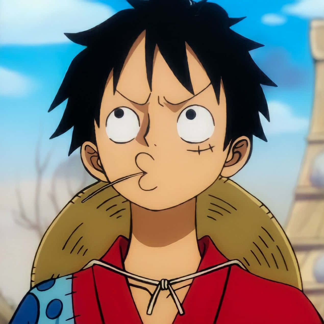 One Piece - A Boy With A Red Shirt And Black Hair