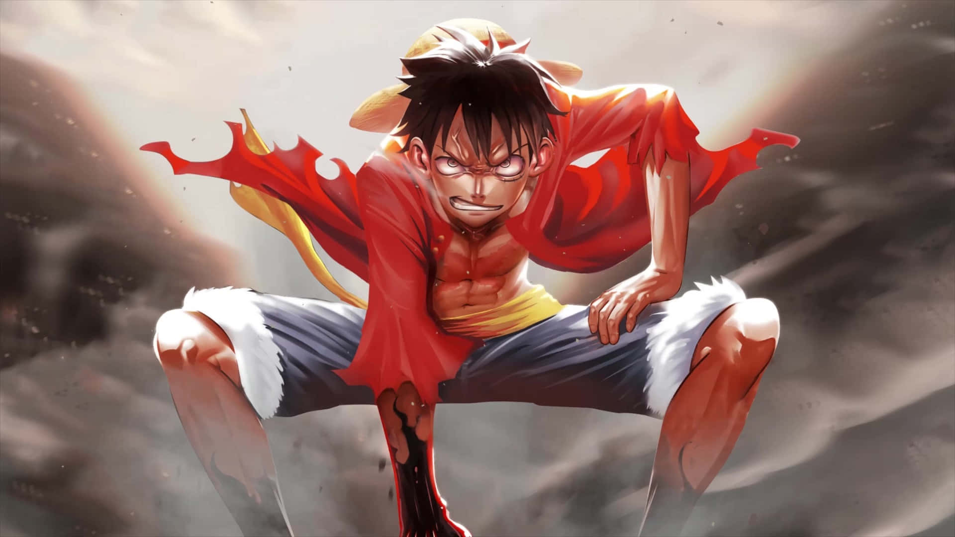 Luffy fights for justice and becomes the Pirate King
