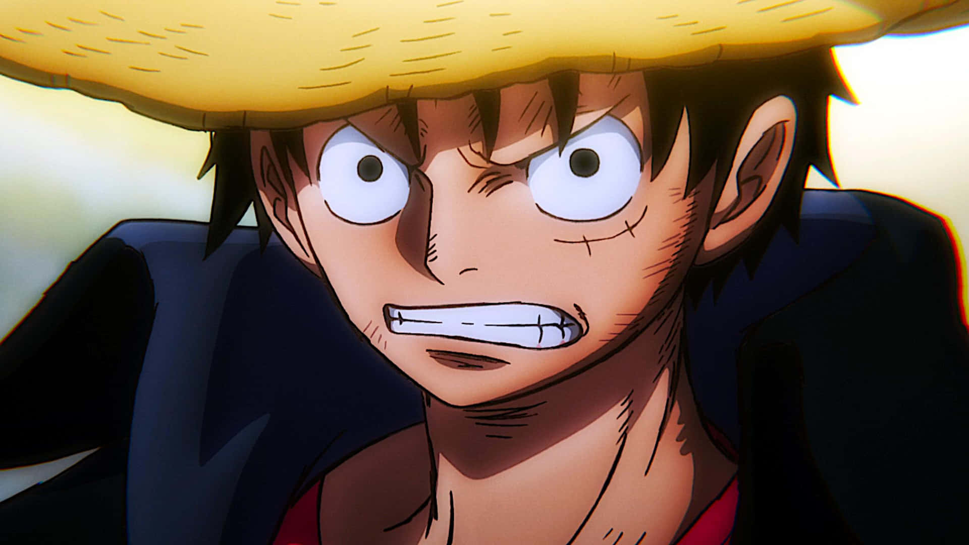 “The Pirate King- Luffy ready to seek the One Piece”
