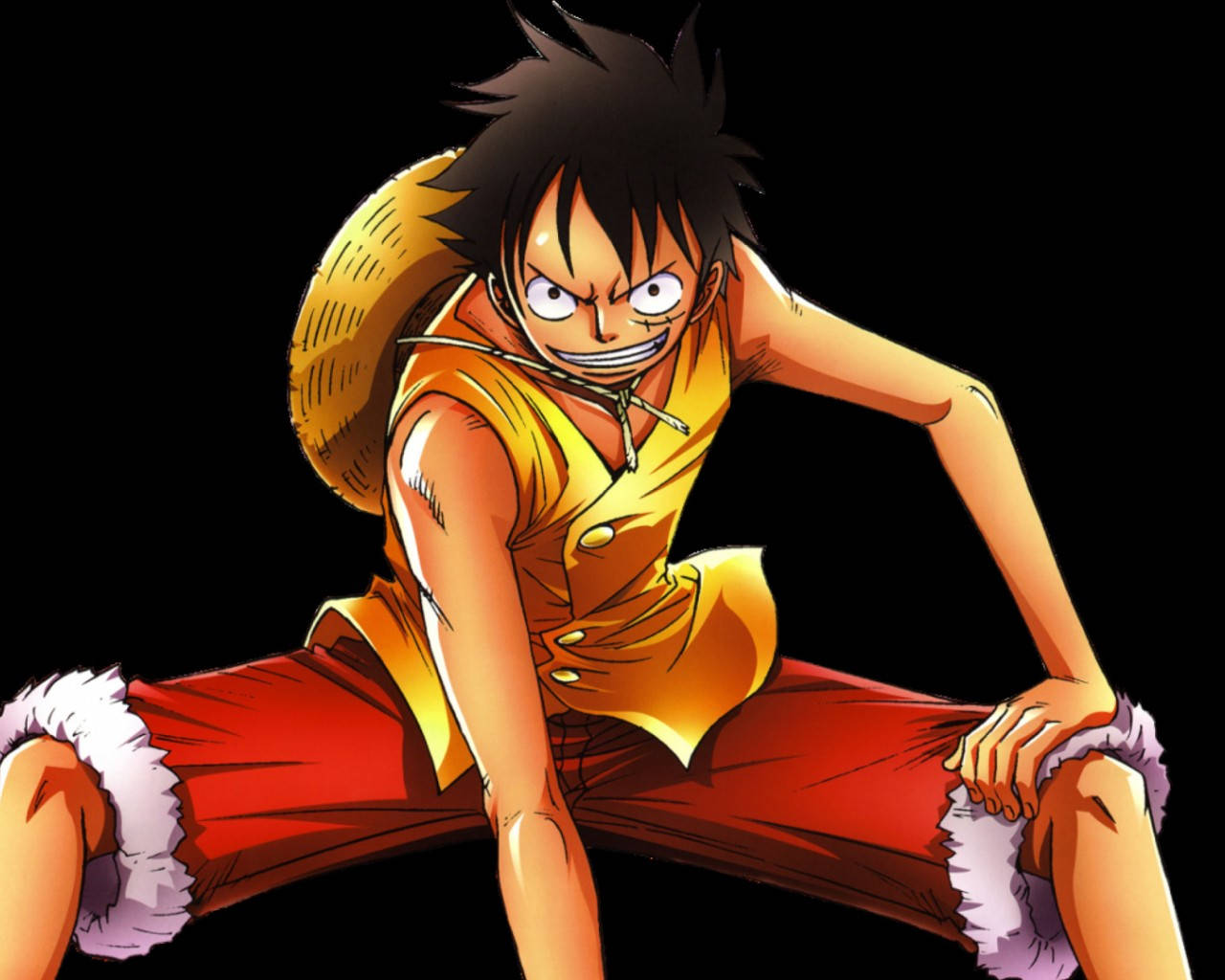 Download Luffy 4k With Colourful Bird Wallpaper