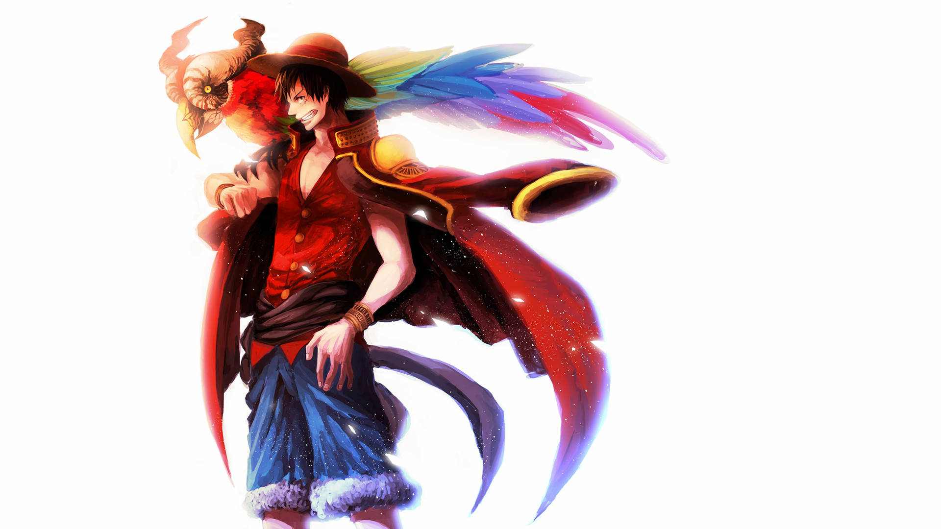 Luffy 4K med farverige fugl og blomst. Wallpaper