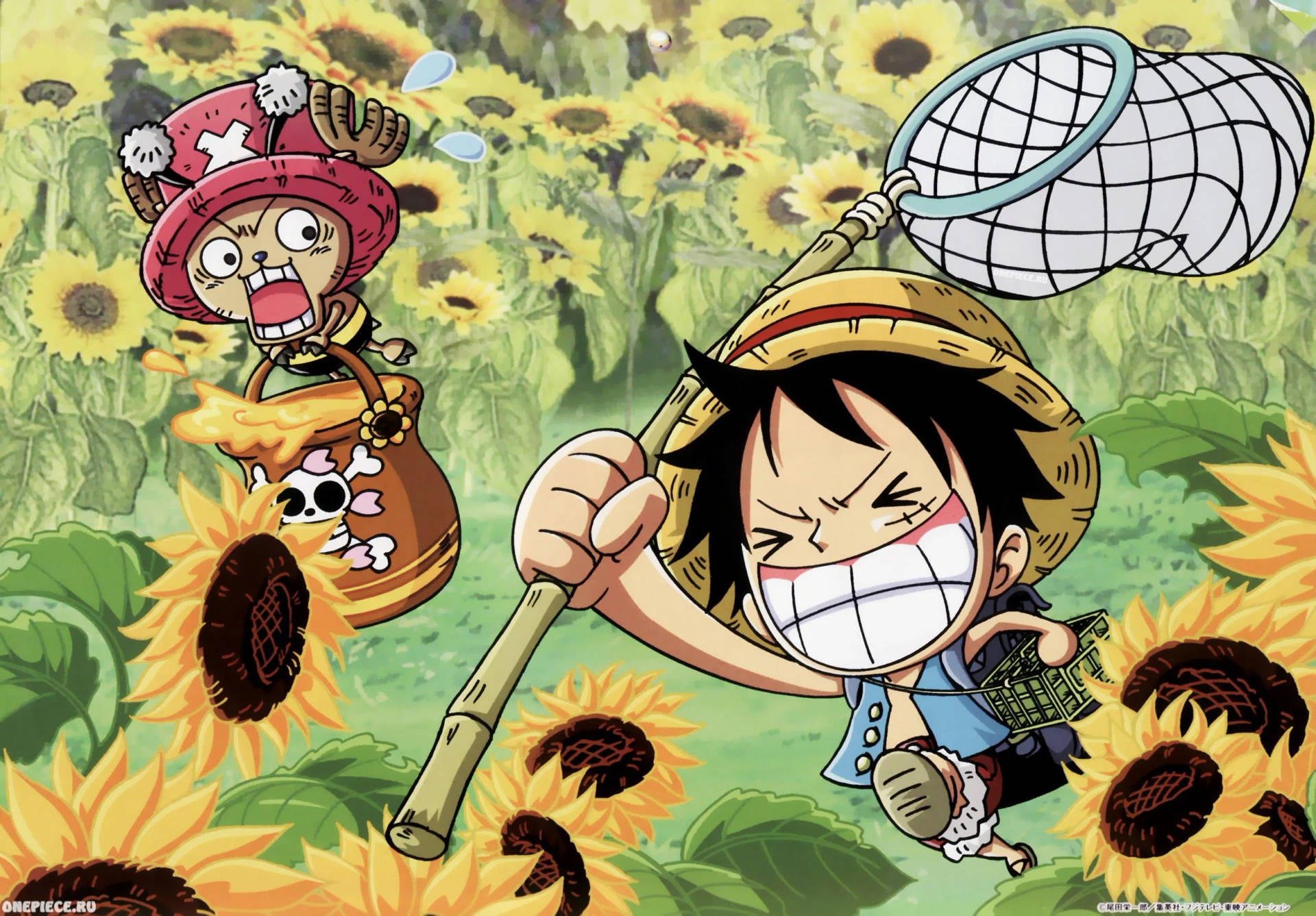 Luffy And Chopper Funny Anime Wallpaper