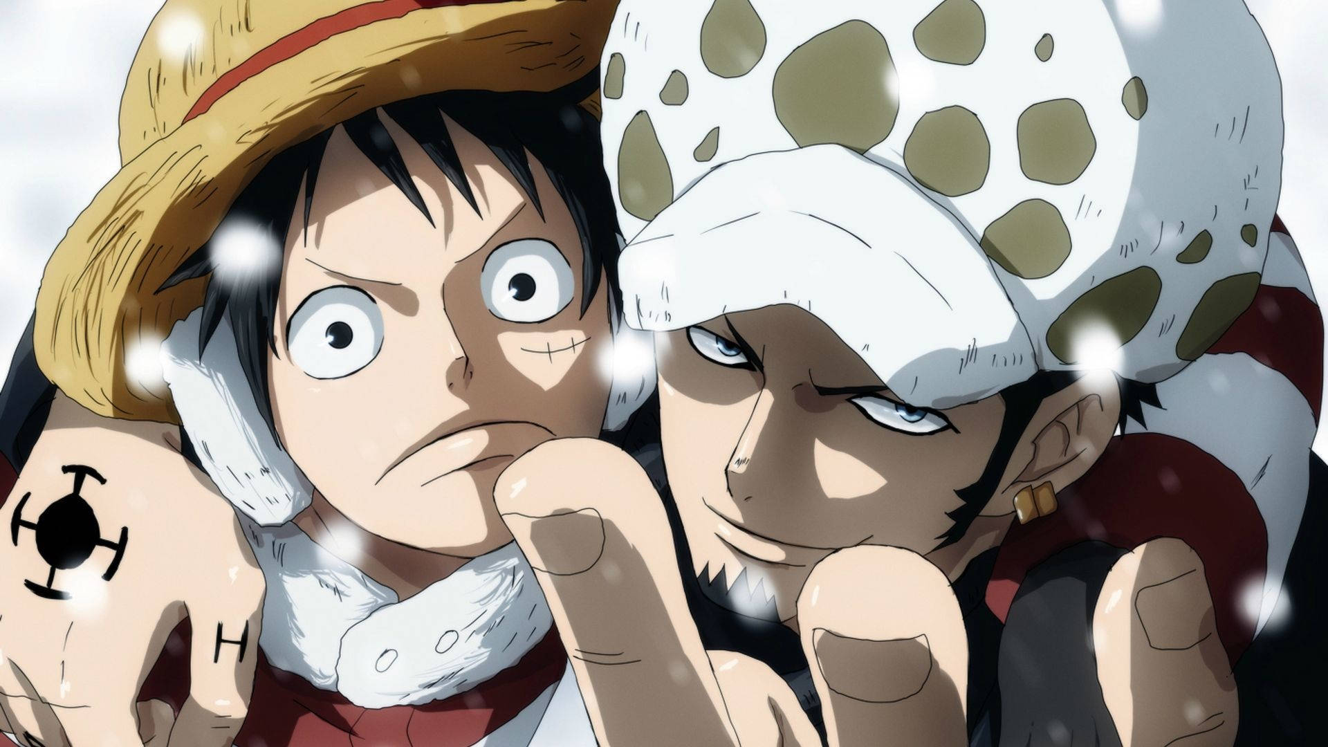 Luffy And Law Anime Profile