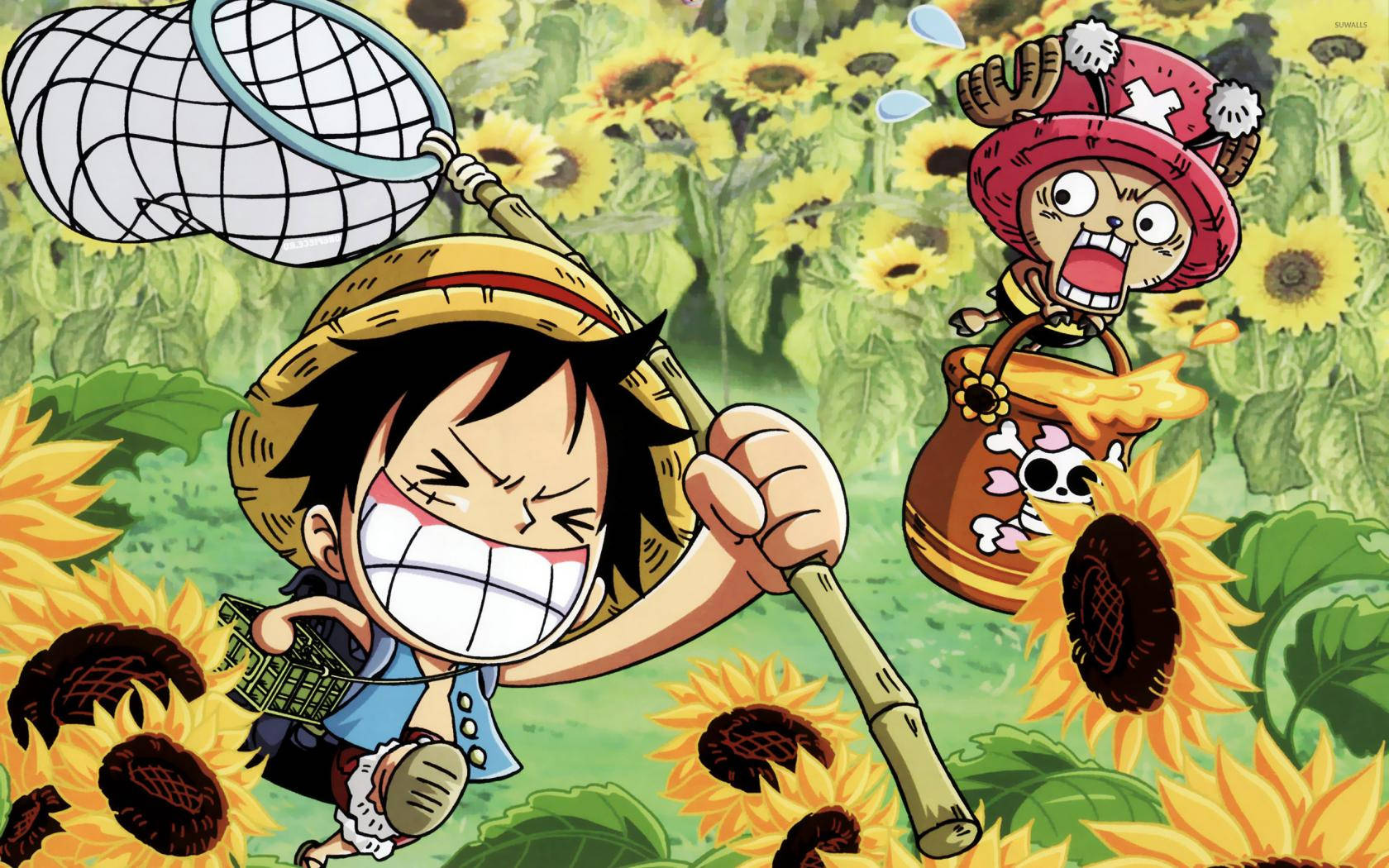 "Luffy Hunting for One Piece?" Wallpaper
