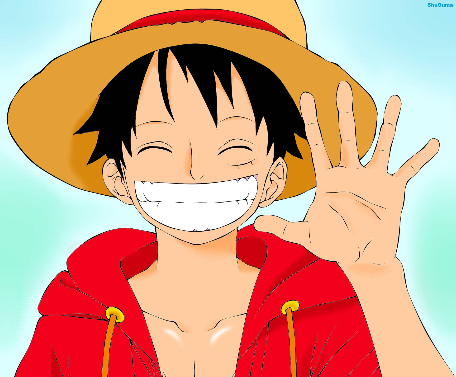 Luffy Smile While Waving Hand