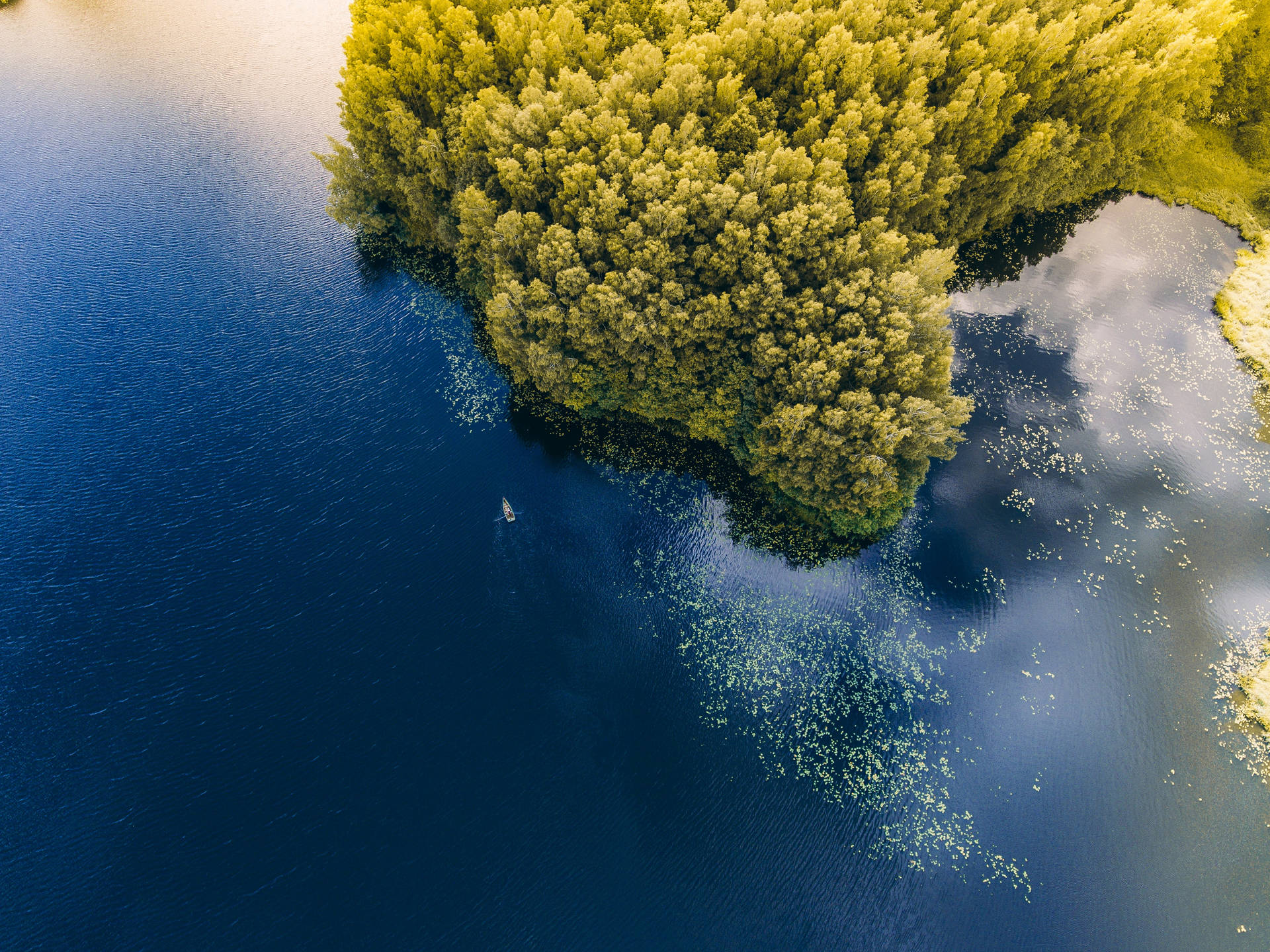 Luftfoto Af Træer Nær Vand I Litauen Wallpaper