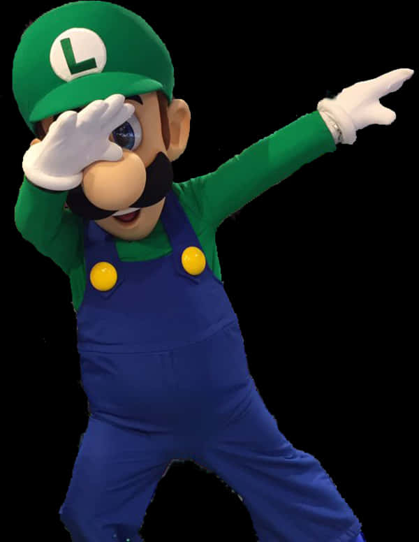 Luigi Character Pose PNG