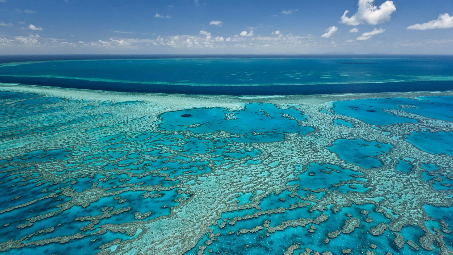 Luminous Blue Great Barrier Reef Wallpaper