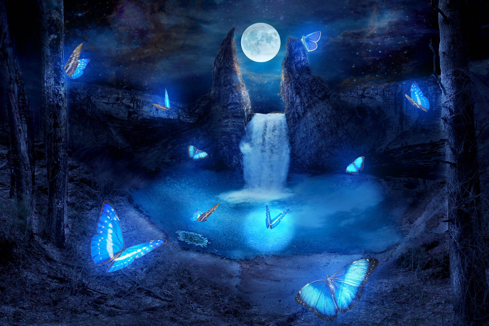 Luminous Falls Night Butterfly Wallpaper