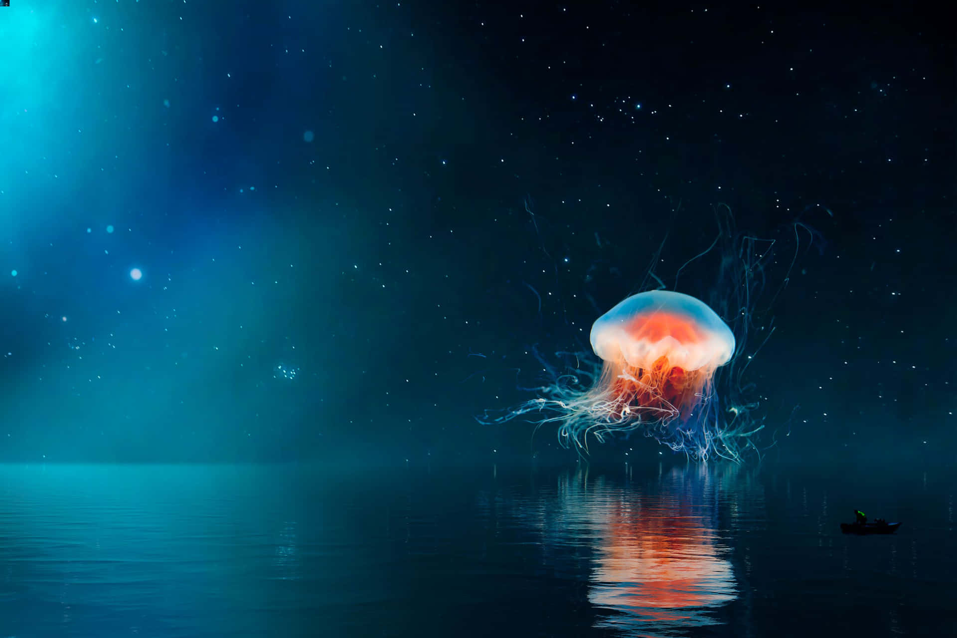 Luminous Jellyfish Night Sky Wallpaper