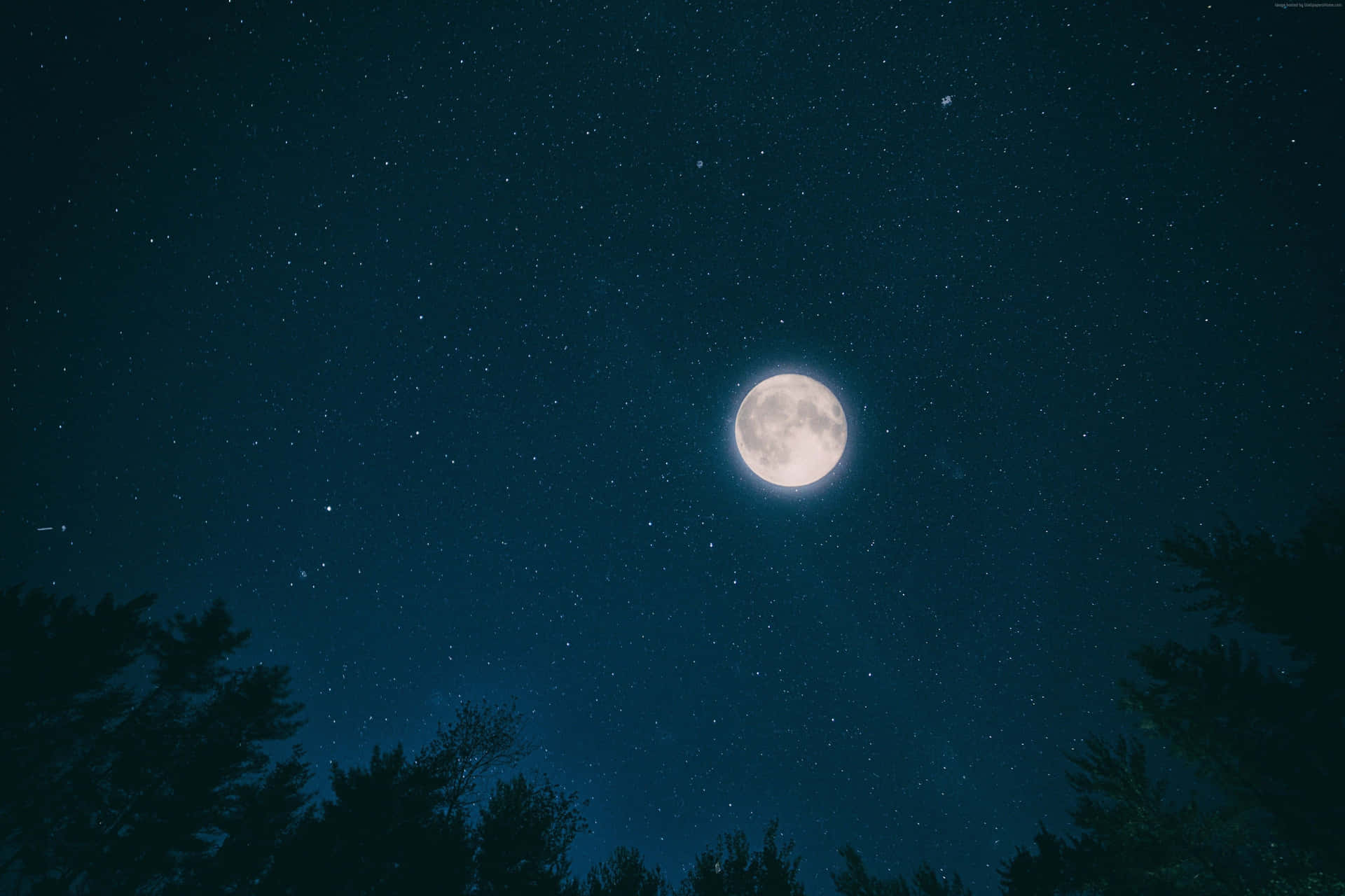 Luminous_ Moon_ Amidst_ Stars Wallpaper