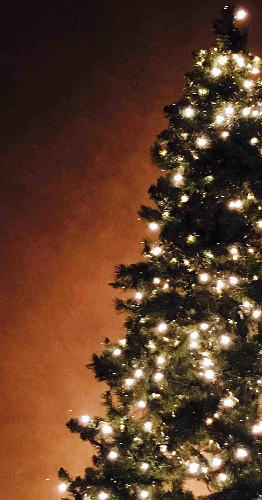 Luminous Pine Christmas Tree IPhone Wallpaper