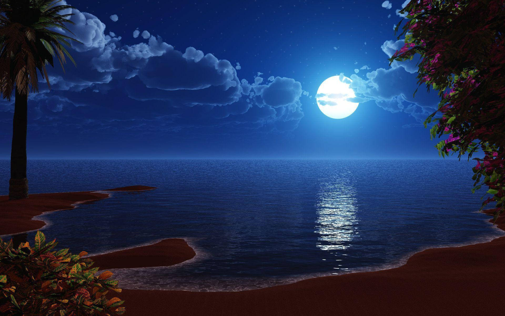 Moon Wallpaper — A serene moonlit beach scene with a full moon casting shimmering light on calm ocean waters framed by palm trees and flowering bushes.
