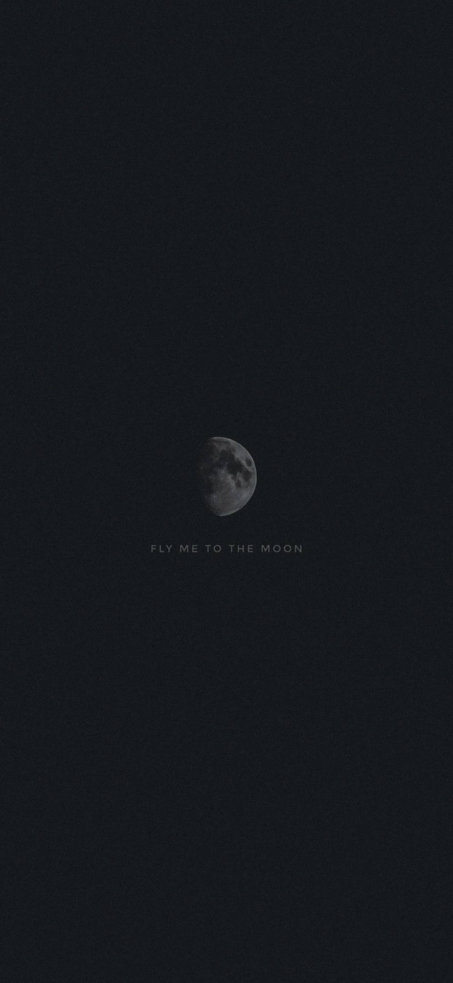 Luna Fly Me To The Moon Wallpaper
